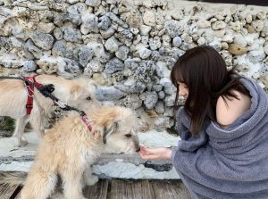 【2021現在】高橋海人と大和田南那の破局